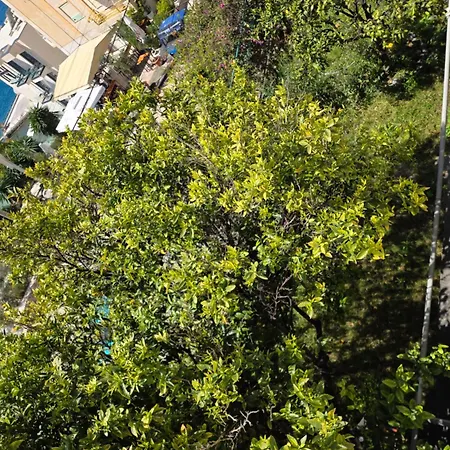 Prishtina * Saranda