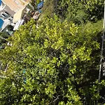 Prishtina * Sarandë